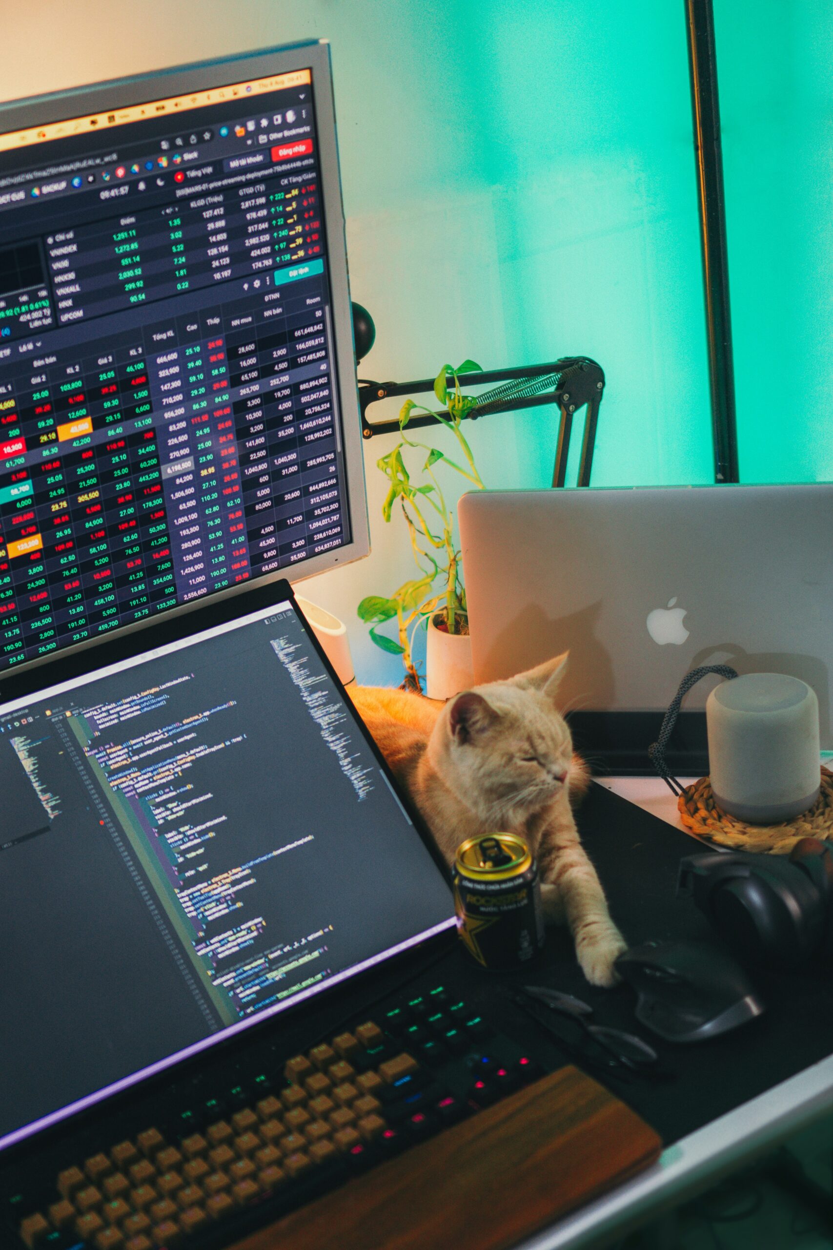 How to Export Stripe Data to Abby.fr Step by Step